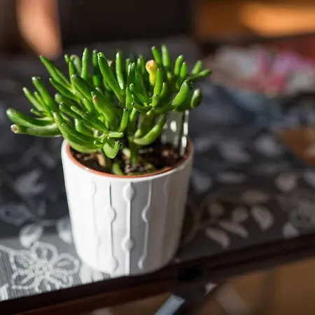 Komfortowy - Obok Rynku Daire Krakow