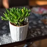 Komfortowy - Obok Rynku Apartamento Cracovia